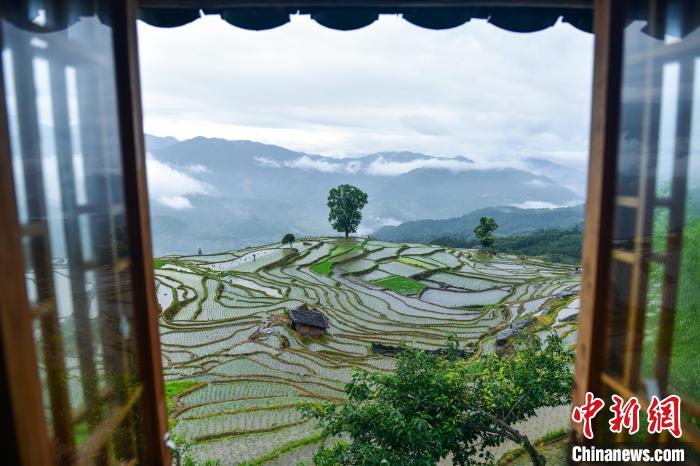 6月4日在广西龙胜各族自治县泗水乡泗水村小岩底屯一家农家旅馆拍摄的窗外景色。　吴生斌 摄